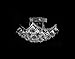 Joshua Marshall Home Collection 10611 Clear Swarovski or European Crystals 4-bulb Multi Light Chandelier Chrome Flush Mount Light, Silver