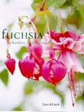 Fuchsia: A Hamlyn Care Manual by Clark, David