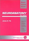 Neuroanatomy