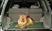 ABO Gear Dog Hog Bed