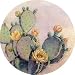 Desert Bloom Sandstone Thirstystone Coasters