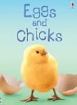 Eggs And Chicks