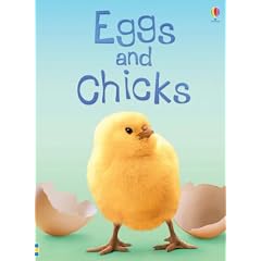 Eggs and Chicks (Usborne Beginners)