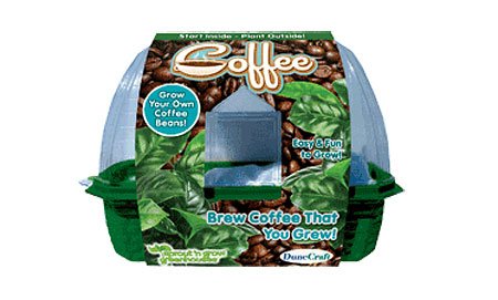 Image #1 of Dunecraft Coffee Trees