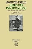 Abriss Der Psychoanalyse (German Edition)