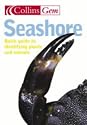 Seashore (Collins GEM)