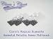 Clara's Magical Diamante Gunmetal Domes Multi Pack. Sizes MD3 x 2 packs plus MD4 x 2 packs (Iron On Hot-fix Items)