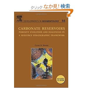 【クリックでお店のこの商品のページへ】Mathematical Optimization in Computer Graphics and Vision (The Morgan Kaufmann Series in Computer Graphics): Luiz Velho, Paulo Carvalho, Jonas Gomes, Luiz de Figueiredo: 洋書