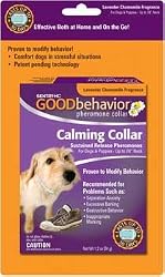 SENTRYHC DOG GOOD BHVR COLLAR