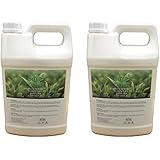 ECO AMENITIES Economical Package 1 Gallon Bottle Shampoo and Body Wash 2 in 1, Include 2 Bottles per Case, Total 2 Gal