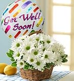Flowers by 1800Flowers - Basket Full of Daisies with Get Well Balloon - Large