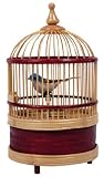 Singing Bird Cage