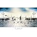 Il Bacio (Venezia, Italia) Art Poster Print - 24x36