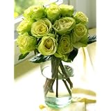 One Dozen Chartreuse Roses