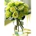 One Dozen Chartreuse Roses