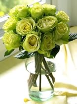 One Dozen Chartreuse Roses