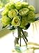 One Dozen Chartreuse Roses