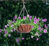 16 CLASSIX PLANTER WHITE