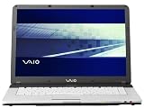 Sony VAIO VGN-FS550 15.4 Laptop (Intel Pentium M Processor 730, 512 MB RAM, 80 GB Hard Drive, Dual Layer DVD+/-RW Drive)