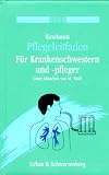 Pflegeleitfaden f&uuml;r examinierte Krankenschwestern und -pfleger - Olaf Kirschnick