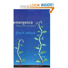 Emergence: From Chaos to Order
