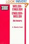 Welsh/English-English/Welsh Dictionary (Hippocrene Standard Dictionary)