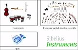Sibelius Instruments, Hybrid CD-ROM