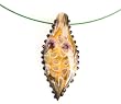 Necklance: Cuttlefish