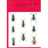 Common Ground Beetles (Naturalists' handbooks)