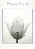 Flower Spirits Boxed Notecards