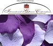 200 Silk Rose Petals Wedding Favors-Multi Colors - Purple & Lavender