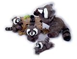 Romeo Jr.-Raccoon