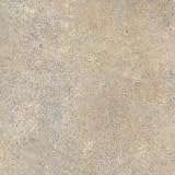 Wilsonart Laminate 4 x 8 : Sunstone