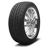 205/55R16 BW 91H BFGoodrich G-Force Super Sport A/S