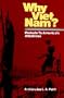 Why Viet Nam?: Prelude to America's Albatross