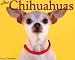 Book Just Chihuahuas 2004 Calendar