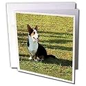 Dogs Welsh Cardigan Corgi - Welsh Cardigan Corgi - Greeting Cards-12 Greeting Cards with envelopes