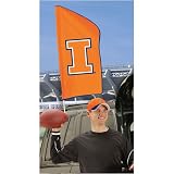 Illinois Fighting Illini NCAA Post Flag