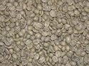 Mexican Chiapas Green Coffee Beans - 5lbs