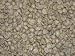 Mexican Chiapas Green Coffee Beans - 5lbs