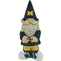 University of Michigan Garden Gnome