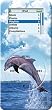 Dolphin Design - Apple iPod nano (1st Generation) 1GB 2GB 4GB Hard Case iJacket - Shock Absorbent Hard Protective Faceplate Cover + FREE iPod nano Screen and Surface Protector Shield