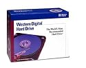 Western Digital WD1000BBRTL 7200 RPM 100 GB EIDE Hard Drive
