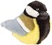 RSPB Great Tit