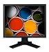 Eizo L887 20 Zoll TFT Monitor grau, DVI-i, Pivot