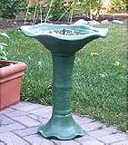 STI Japanese Tea Gardens Birdbath