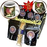 Lee Hiller Photography Hot Springs National Park Flowers - Southern Magnolia Blushing Seed Pod - Coffee Gift Baskets - Coffee Gift Basket