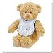 41SHCZ88XCL. SL75  Baby Gund Cuddly Pals Pokey Rattle Toy Blue Bib Tan Bear Lovey