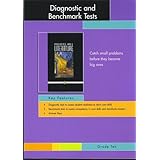 diagnostic and benchmark tests grade ten prentice hall literature penguin edition catch small problems before