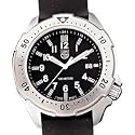 Dive Professional Series, Black Dial, Rubber Strap